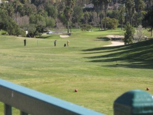 looking down the fairway of a golf hole