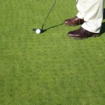 golfer making a putting stroke