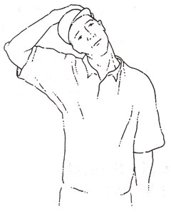 neck stretches sketch